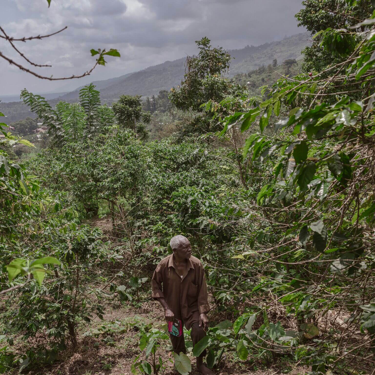 Congo (DRC)