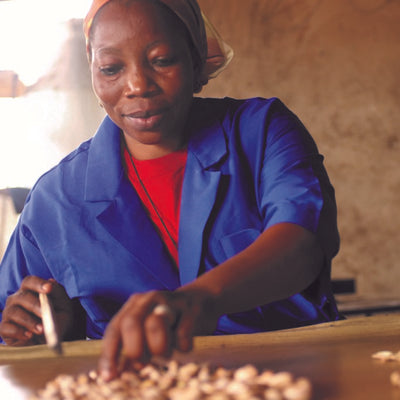 Cashewnødder fra Burkina Faso