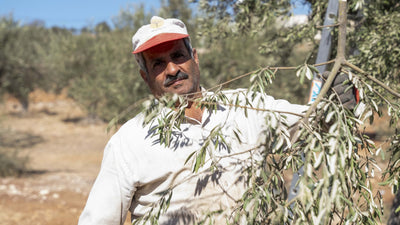 Buy quality goods from the West Bank