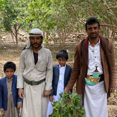 Coffee from Yemen