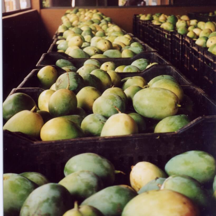 Fra Mango Mango Brooks, økologiske og fairtrade, fra Burkina Faso – warfair