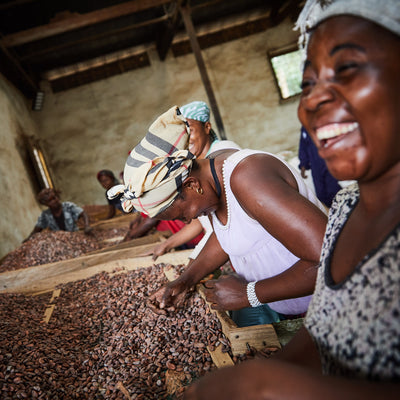 Cocoa nibs from Congo (DRC)