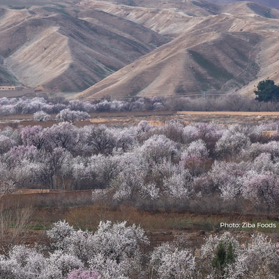 Almonds from Afghanistan