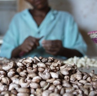 Cashewnødder fra Burkina Faso