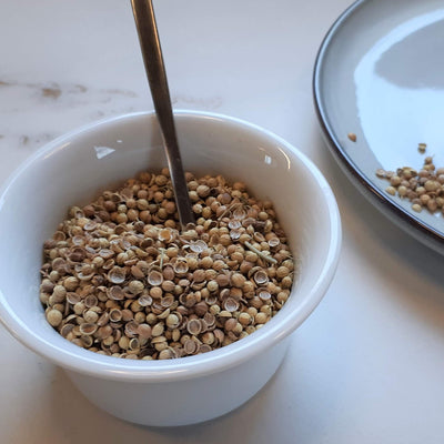 Coriander from Afghanistan