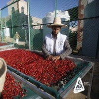 Coffee from Yemen